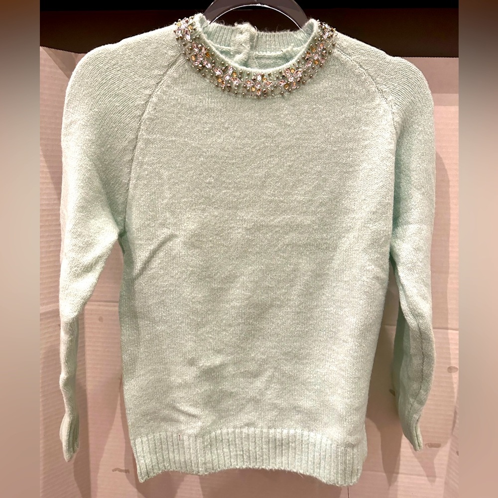 Light green sweater with crystals around neck
